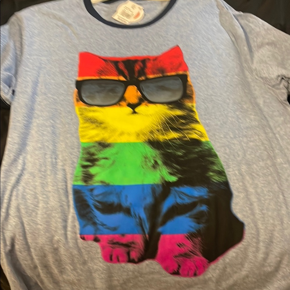 Well Worn Cat Tee with Rainbow Stripes